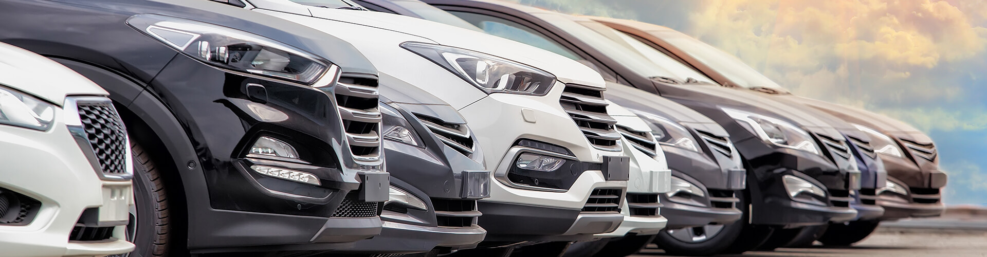 Car Rentals